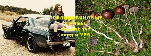 мяу мяу мука Беломорск