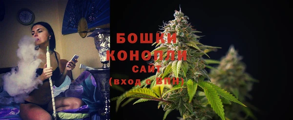 кокс Белокуриха
