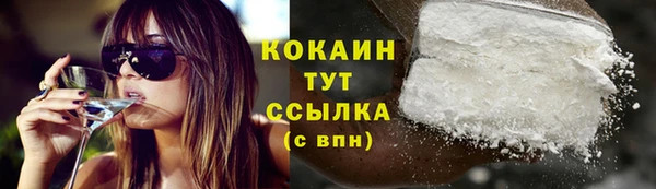 кокс Белокуриха