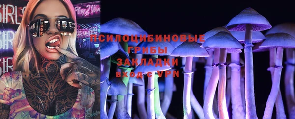 кокс Белокуриха