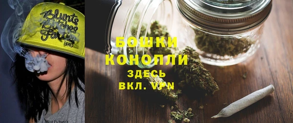 кокс Белокуриха