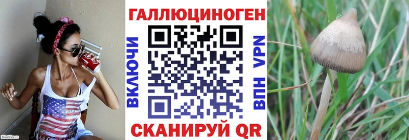 Галлюциногенные грибы GOLDEN TEACHER  нарко площадка телеграм  Очёр 