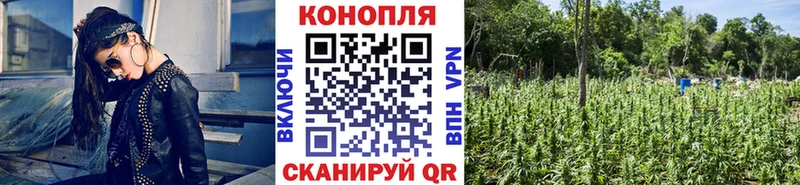 где купить наркоту Очёр hydra рабочий сайт МАРИХУАНА MAZAR
